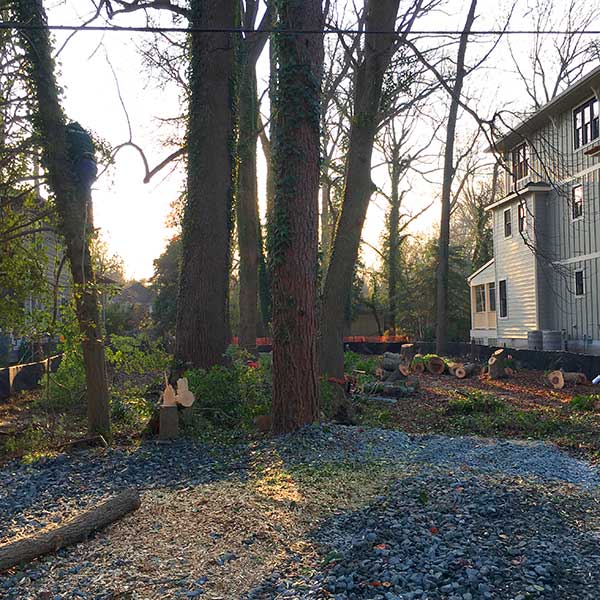 Recinos Tree Service and Landscaping