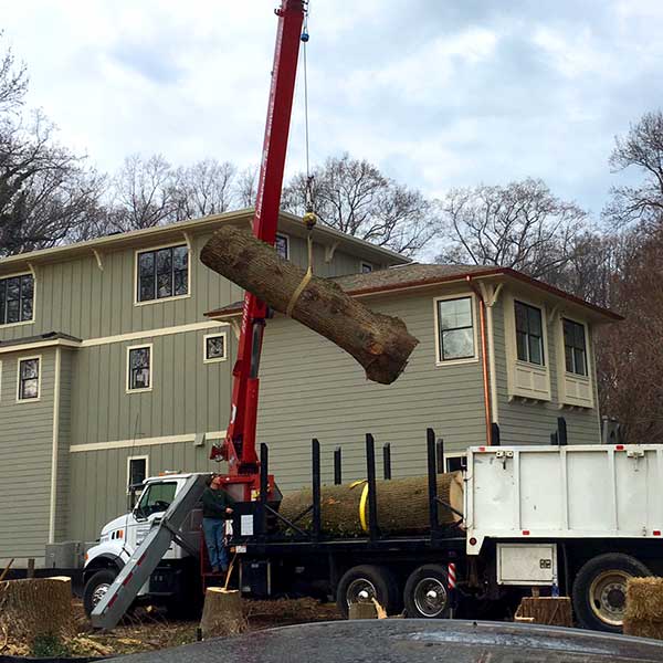 Recinos Tree Service and Landscaping