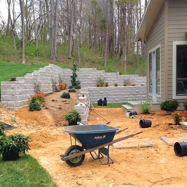 Recinos Tree Service and Landscaping