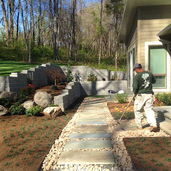 Recinos Tree Service and Landscaping