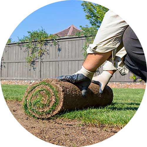 Recinos Professional Landscaping