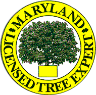 Maryland Licensed Tree Expert