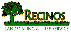 Recinos Tree Service and Landscaping